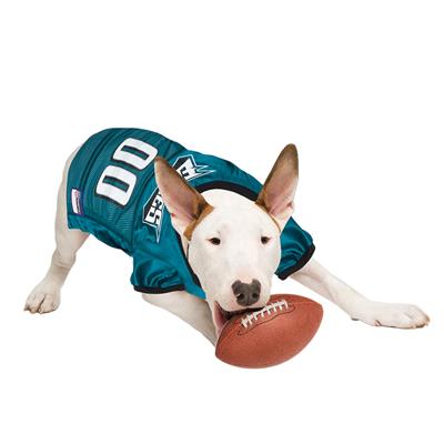 NFL Philadelphia Eagles Mesh Dog Jersey