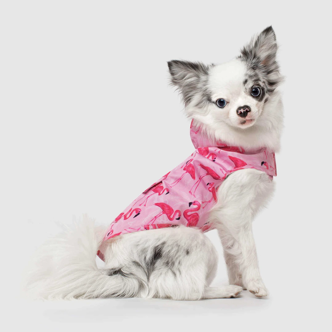 iBARK Dog Sweaters And Ponchos