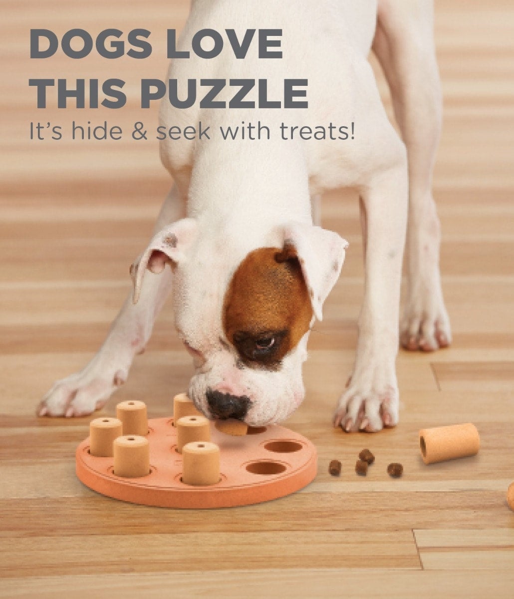 Petstages - Dog Smart Puzzle